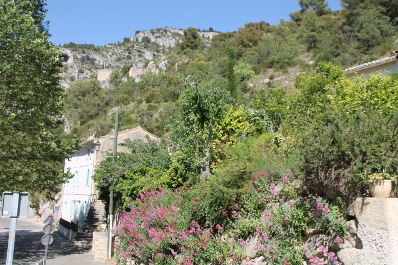 Au Bonheur De Lili Lägenhet Fontaine-de-Vaucluse Exteriör bild